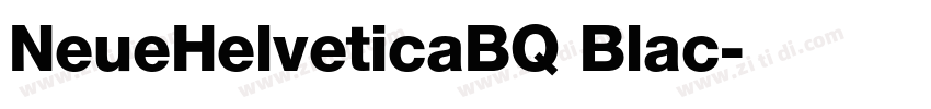 NeueHelveticaBQ Blac字体转换